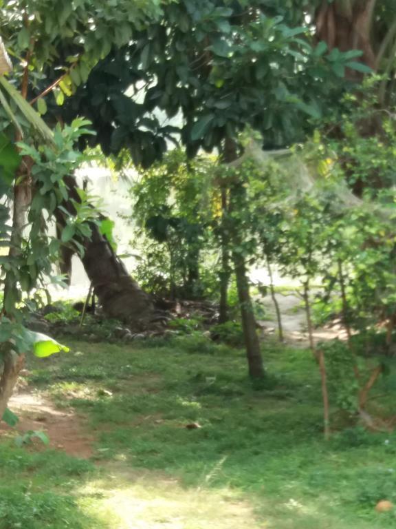 Ishitha Homestay Tangalle Exterior foto